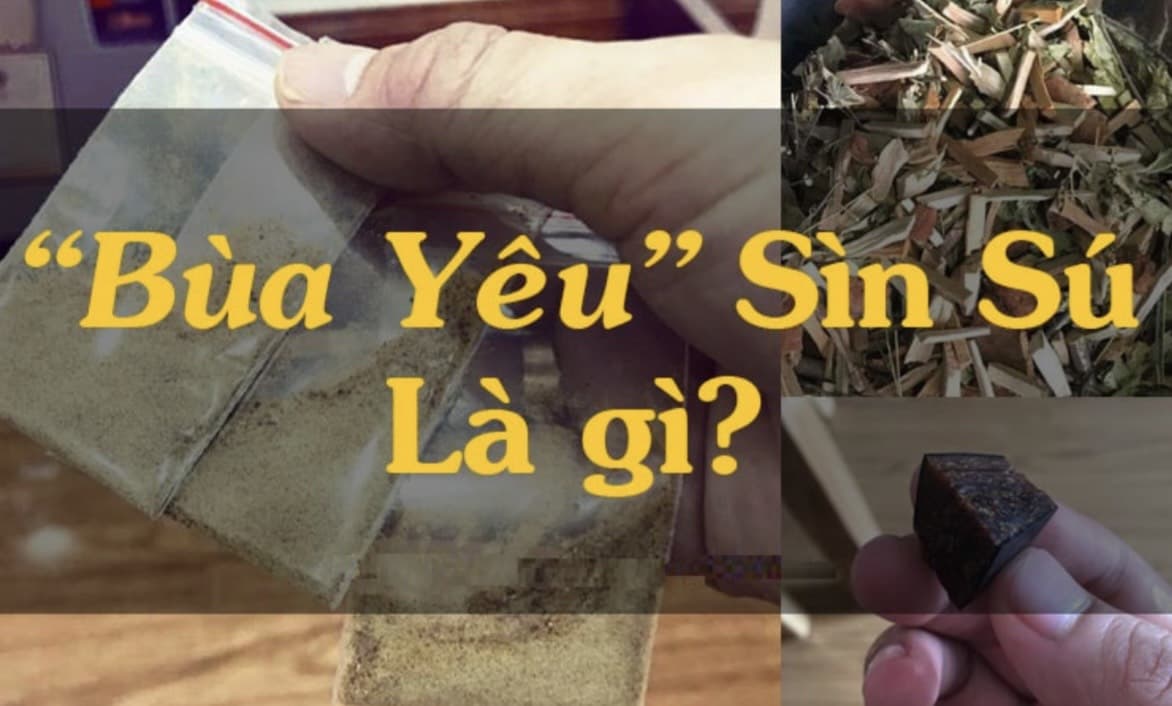 Giới thiệu Trùm Sìn Sú