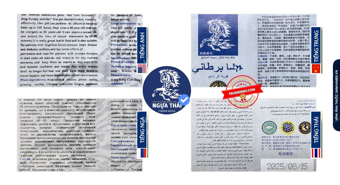 Thiết_kế_chưa_có_tên