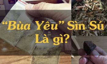 Sìn Sú Chính HãngSin Su Chinh Hang 9